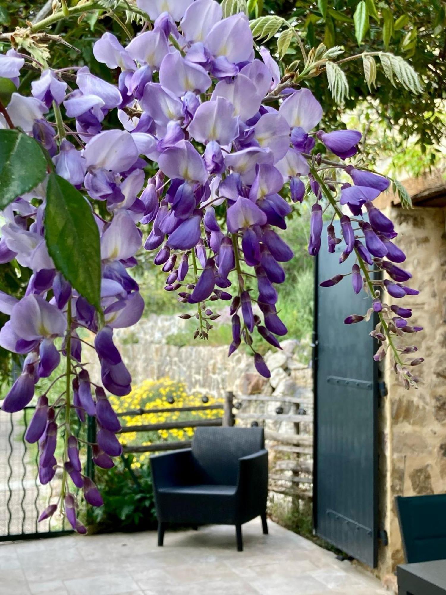 Villa Les Genets Fayence Exterior foto