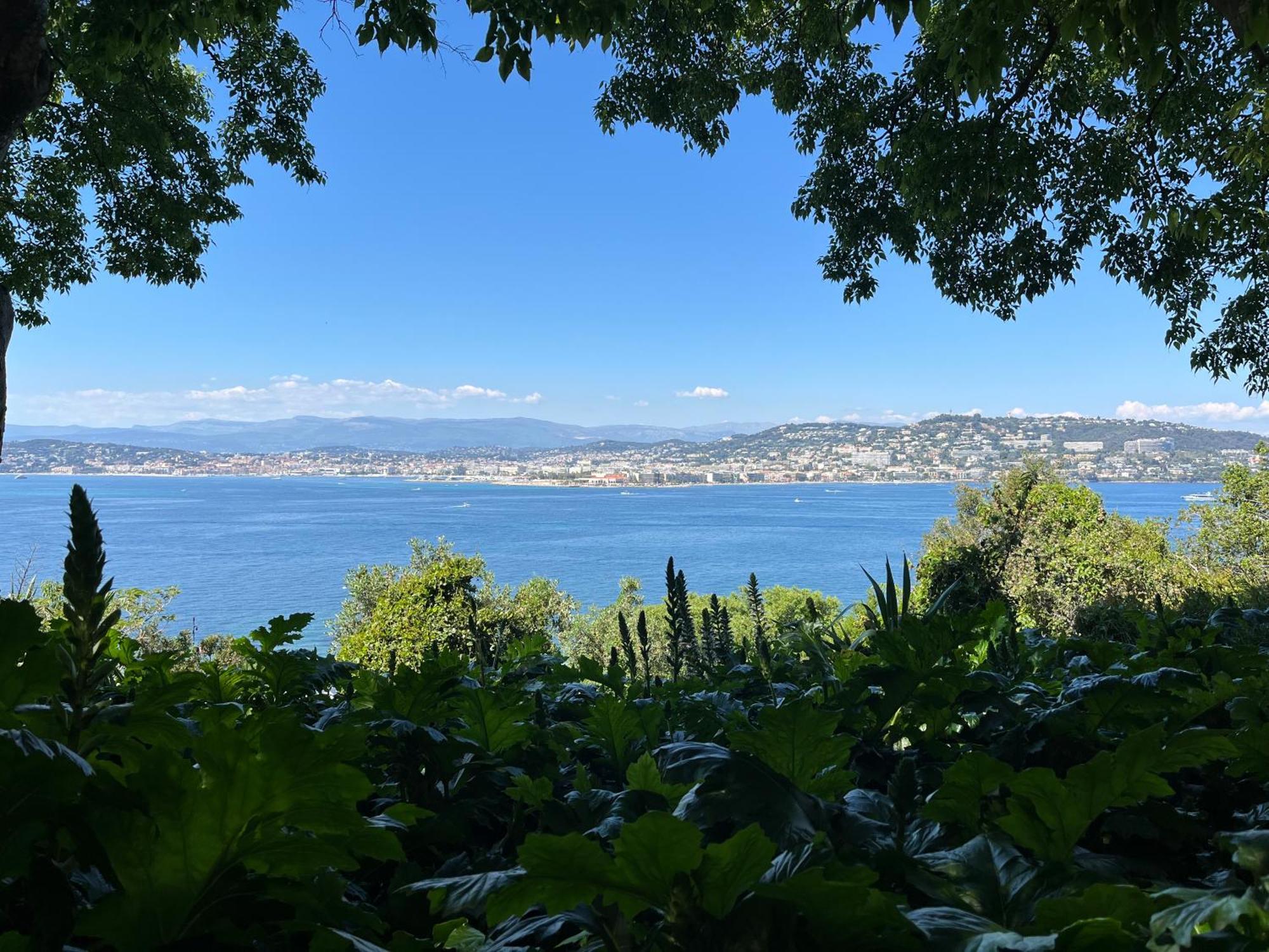 Villa Les Genets Fayence Exterior foto